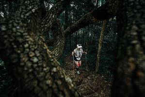 BIB: 
                            <button type="button" onclick="openModal(25684745)" class="btn btn-primary btn-sm float-right btn-popup" data-toggle="modal" data-target=".modal-high-quality">
                        <i class="fas fa-shopping-cart"></i> Add to Cart
                    </button>
                                            <button type="button" onclick="isThisMe(25684745, true)" class="btn btn-success btn-sm float-right btn-popup btn-isme hidden" data-toggle="tooltip" data-placement="bottom" title="นี่คือรูปของคุณใช่ไหม คลิกที่นี่เพื่อเอาเข้าอัลบั้ม">
                        <i class="fas fa-plus"></i> Add to album
                    </button>
                    <button type="button" onclick="isThisMe(25684745, false)" class="btn btn-warning btn-sm float-right btn-popup btn-isnotme hidden">
                        <i class="fas fa-ban"></i> Remove from album
                    </button>